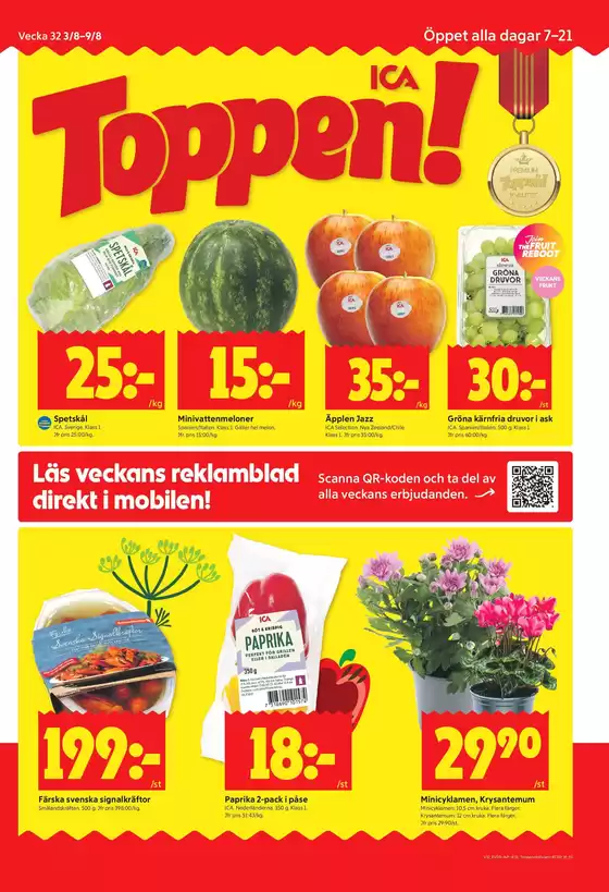 main_flyer image