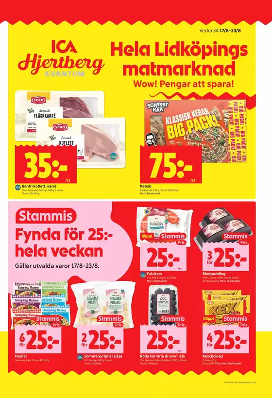 main_flyer image
