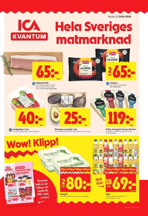 main_flyer image