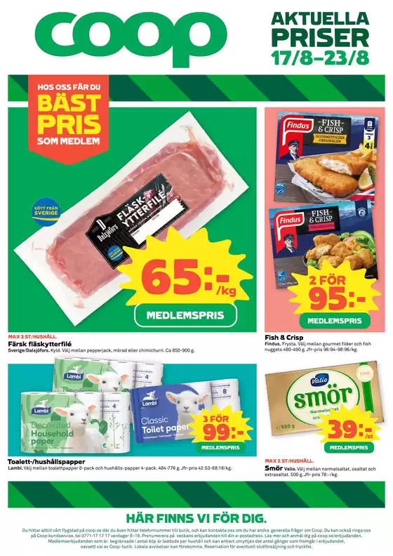 main_flyer image