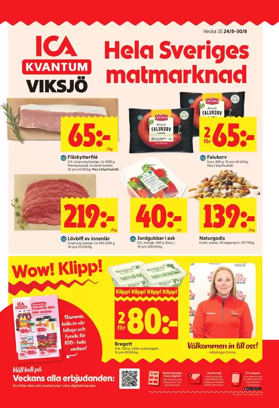 main_flyer image