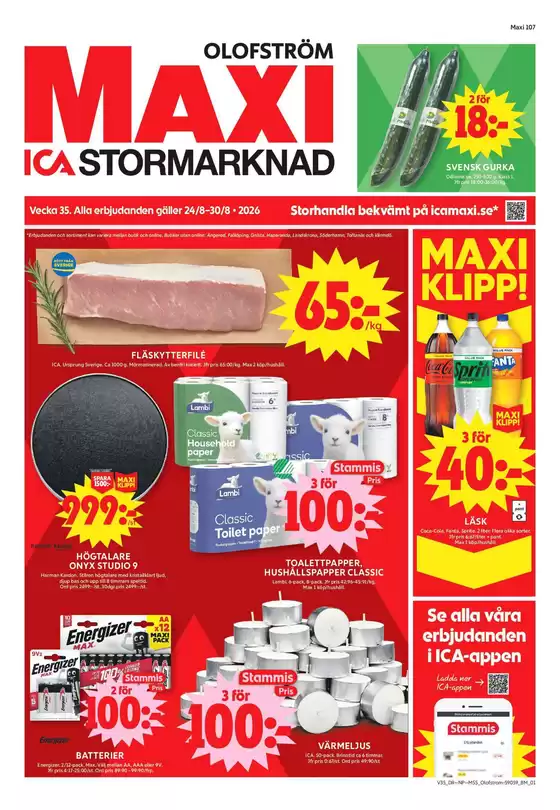 main_flyer image