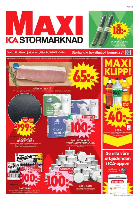 main_flyer image