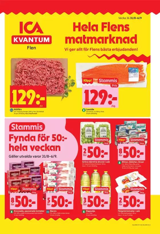 main_flyer image