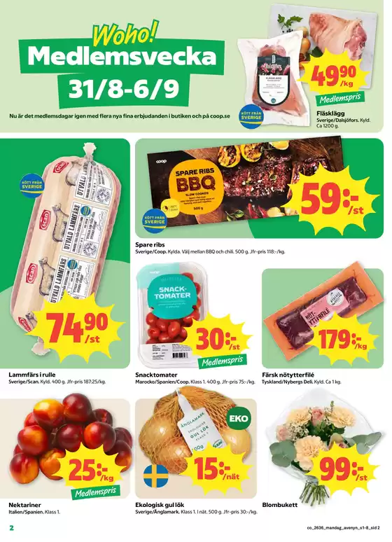 main_flyer image