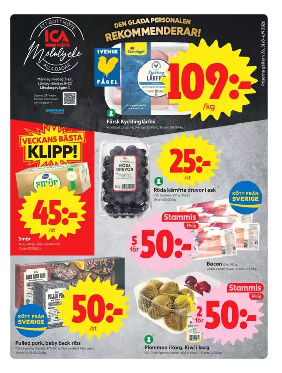 main_flyer image