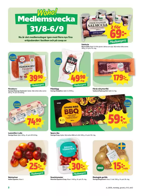 main_flyer image