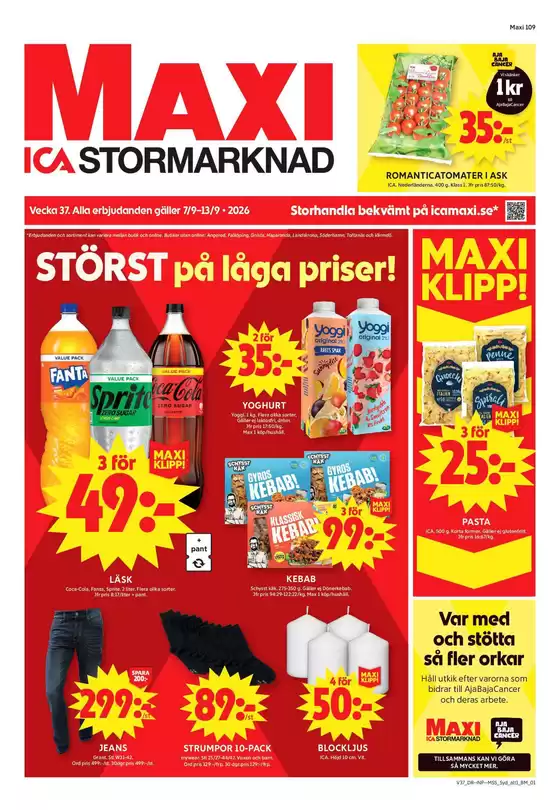 main_flyer image