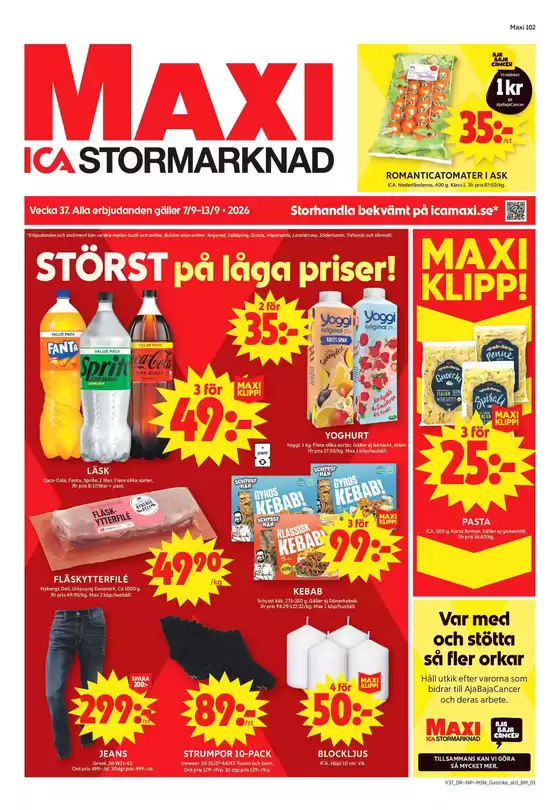 main_flyer image