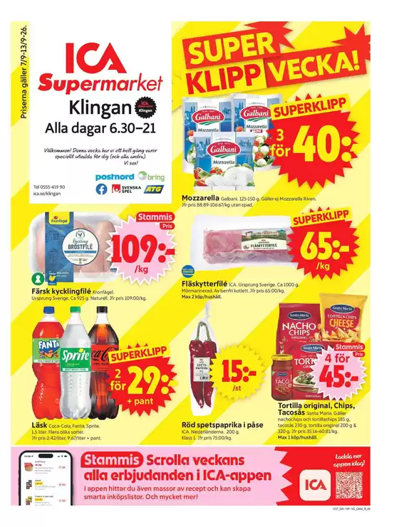 main_flyer image