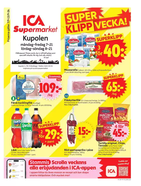 main_flyer image