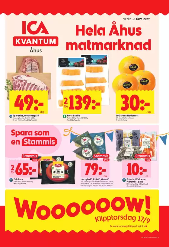main_flyer image
