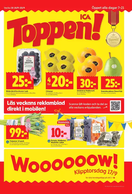 main_flyer image