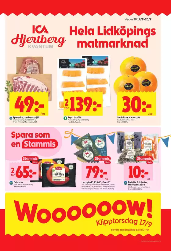 main_flyer image