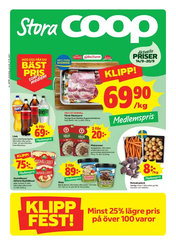 main_flyer image