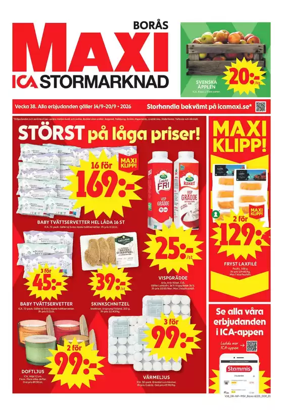main_flyer image