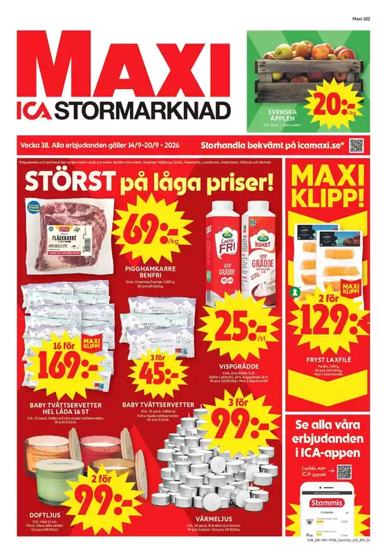 main_flyer image
