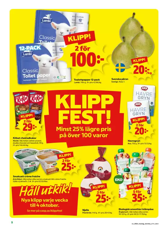 main_flyer image