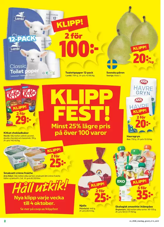 main_flyer image