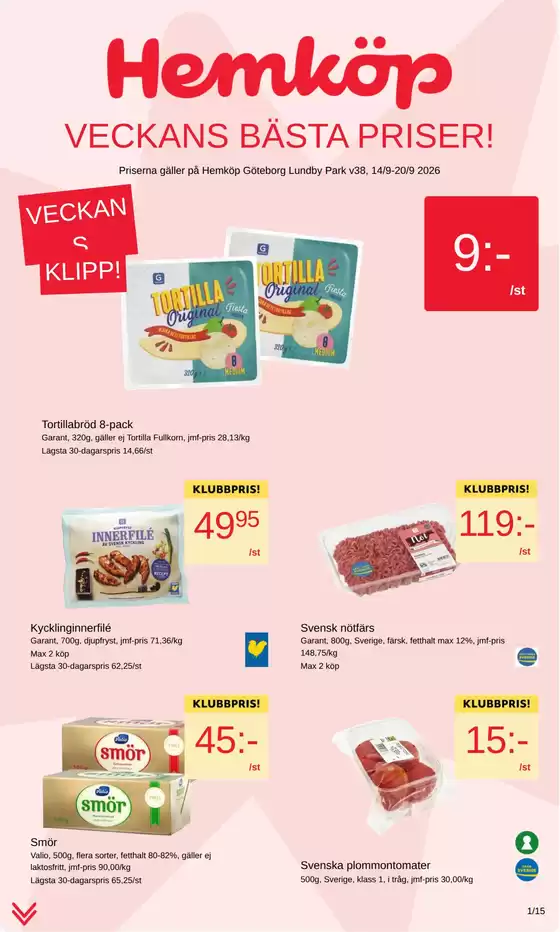 main_flyer image