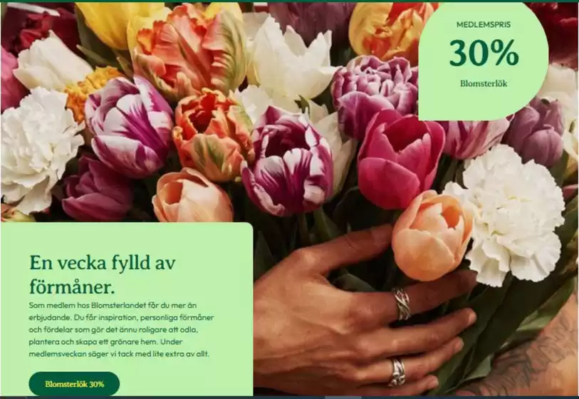Blomsterlandet-katalog | 30% rabatt! | 2026-09-16T00:00:00.000Z - 2026-09-30T00:00:00.000Z