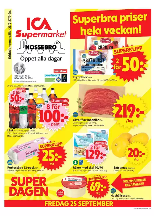 main_flyer image