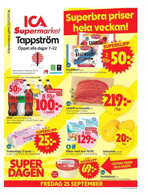 main_flyer image