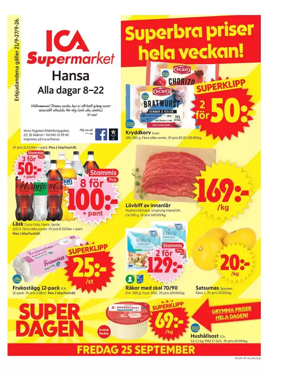 main_flyer image