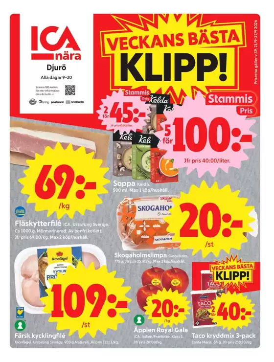 main_flyer image