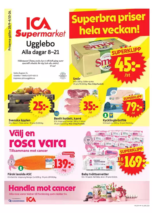 main_flyer image