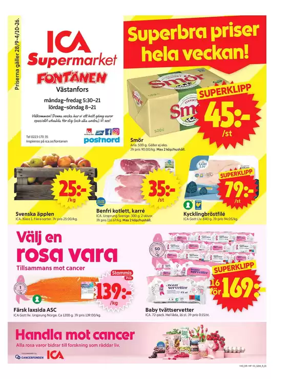 main_flyer image