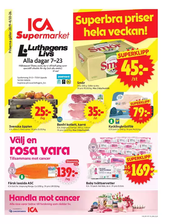 main_flyer image