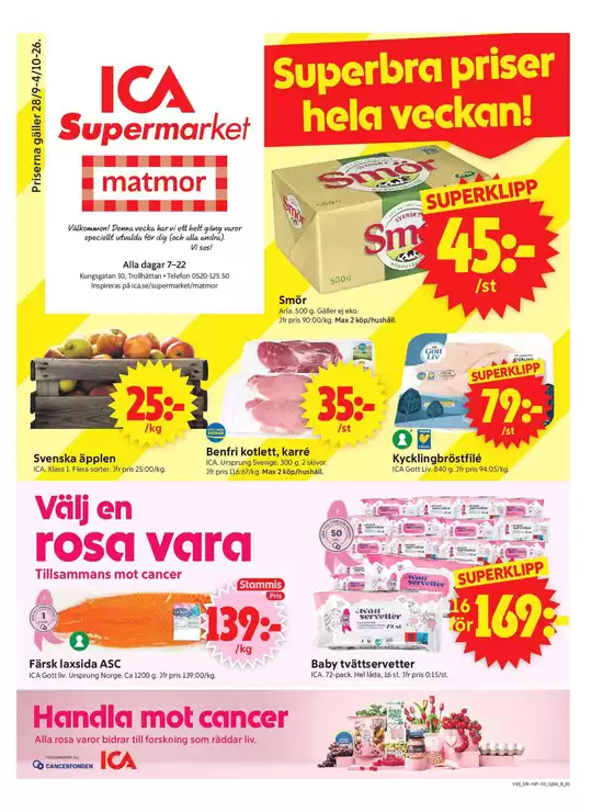 main_flyer image