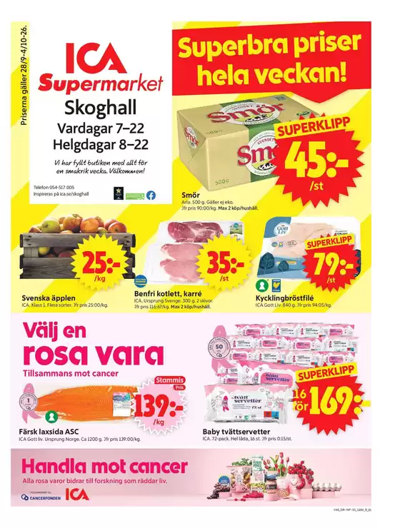 main_flyer image