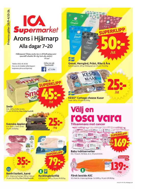 main_flyer image