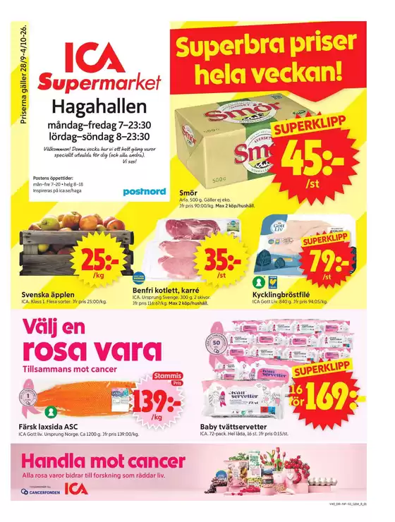 main_flyer image