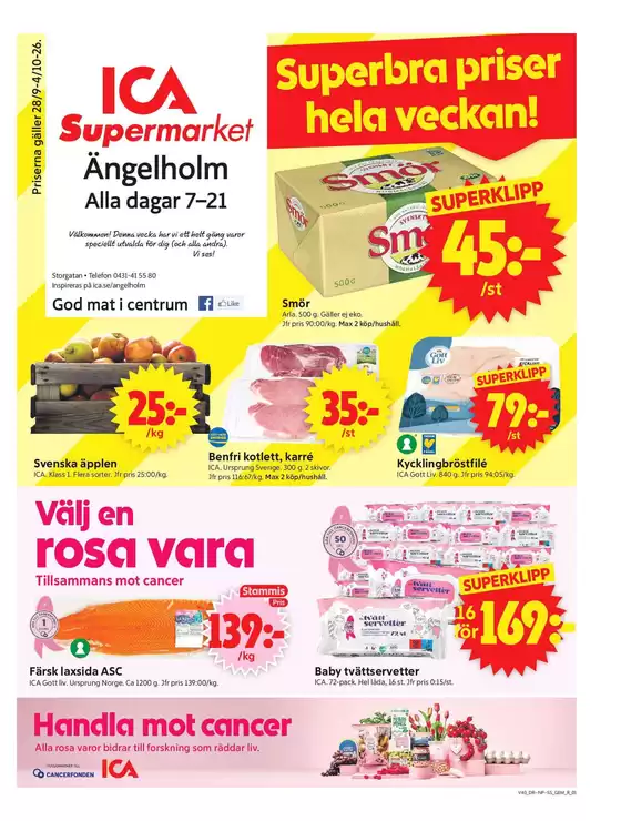 main_flyer image