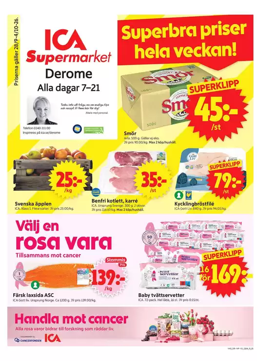 main_flyer image