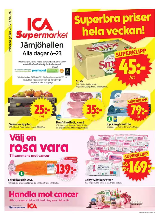 main_flyer image