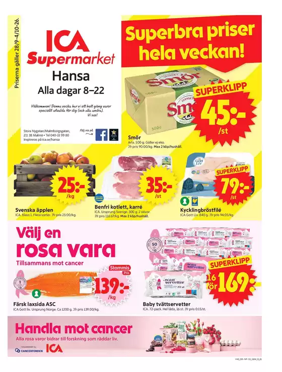 main_flyer image