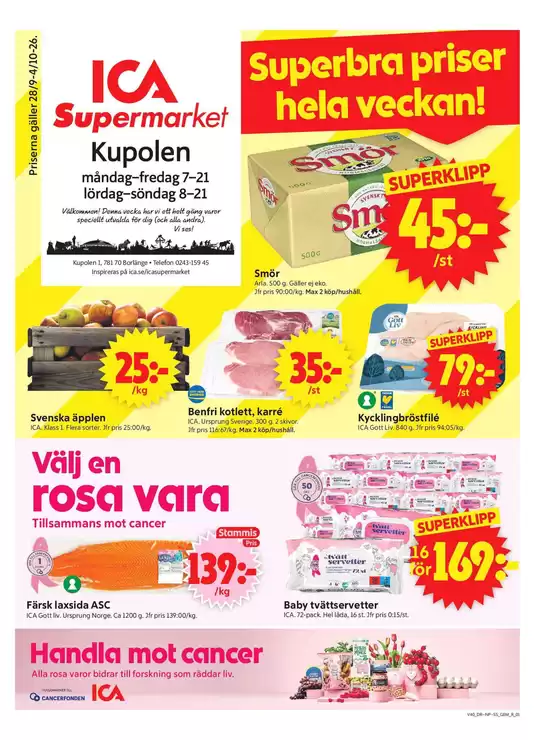 main_flyer image