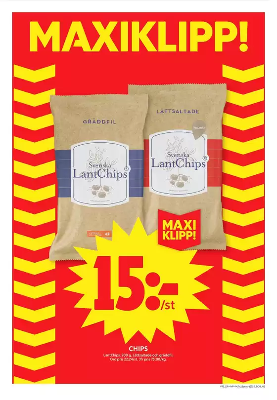 main_flyer image