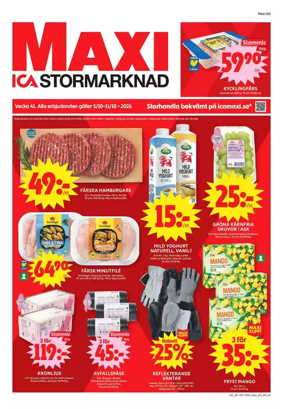 main_flyer image