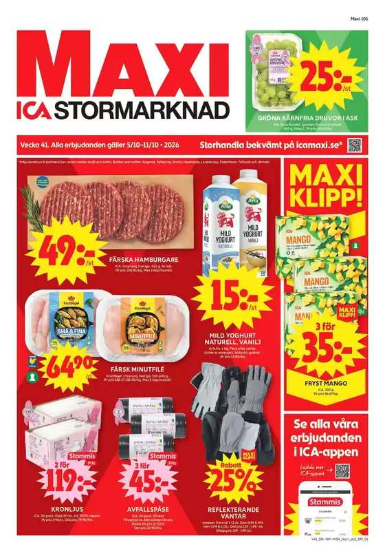 main_flyer image