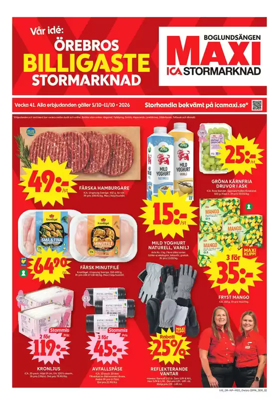 main_flyer image