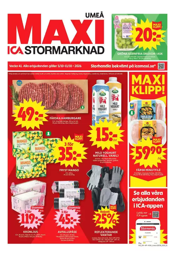 main_flyer image