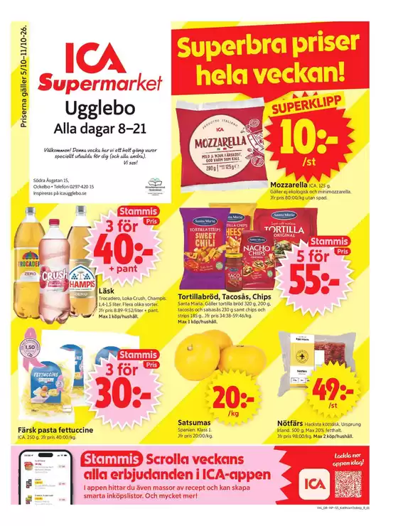 main_flyer image