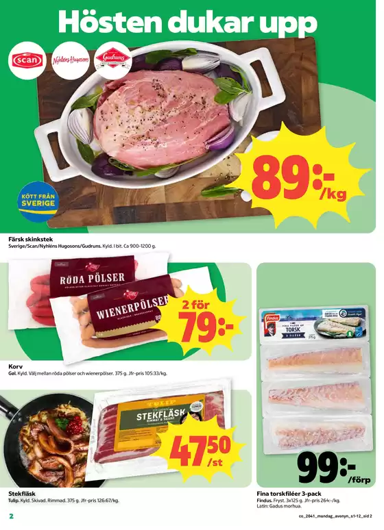 main_flyer image