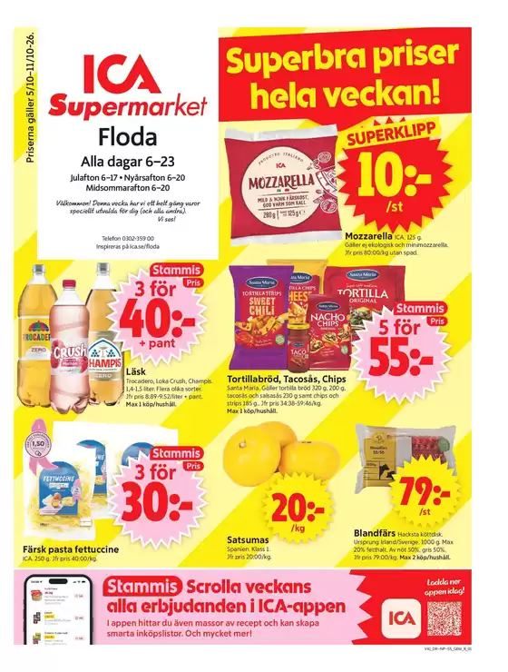 main_flyer image