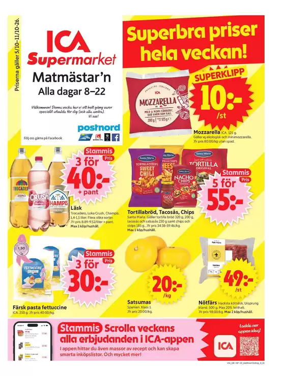 main_flyer image